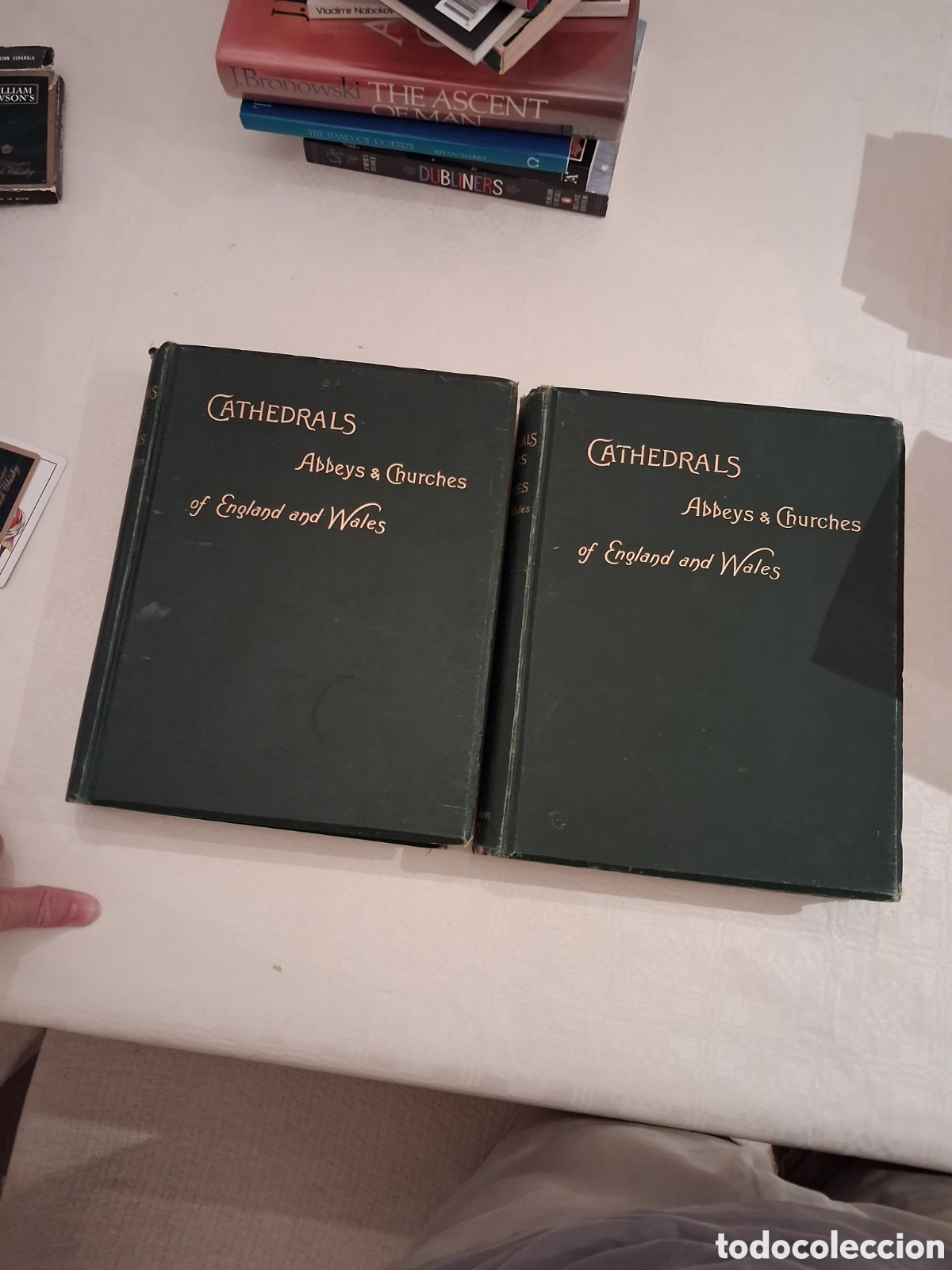 Libros antiguos: Cathedrals, Abbeys & Churches of England and Wales. T.G. Bonney (first edition)