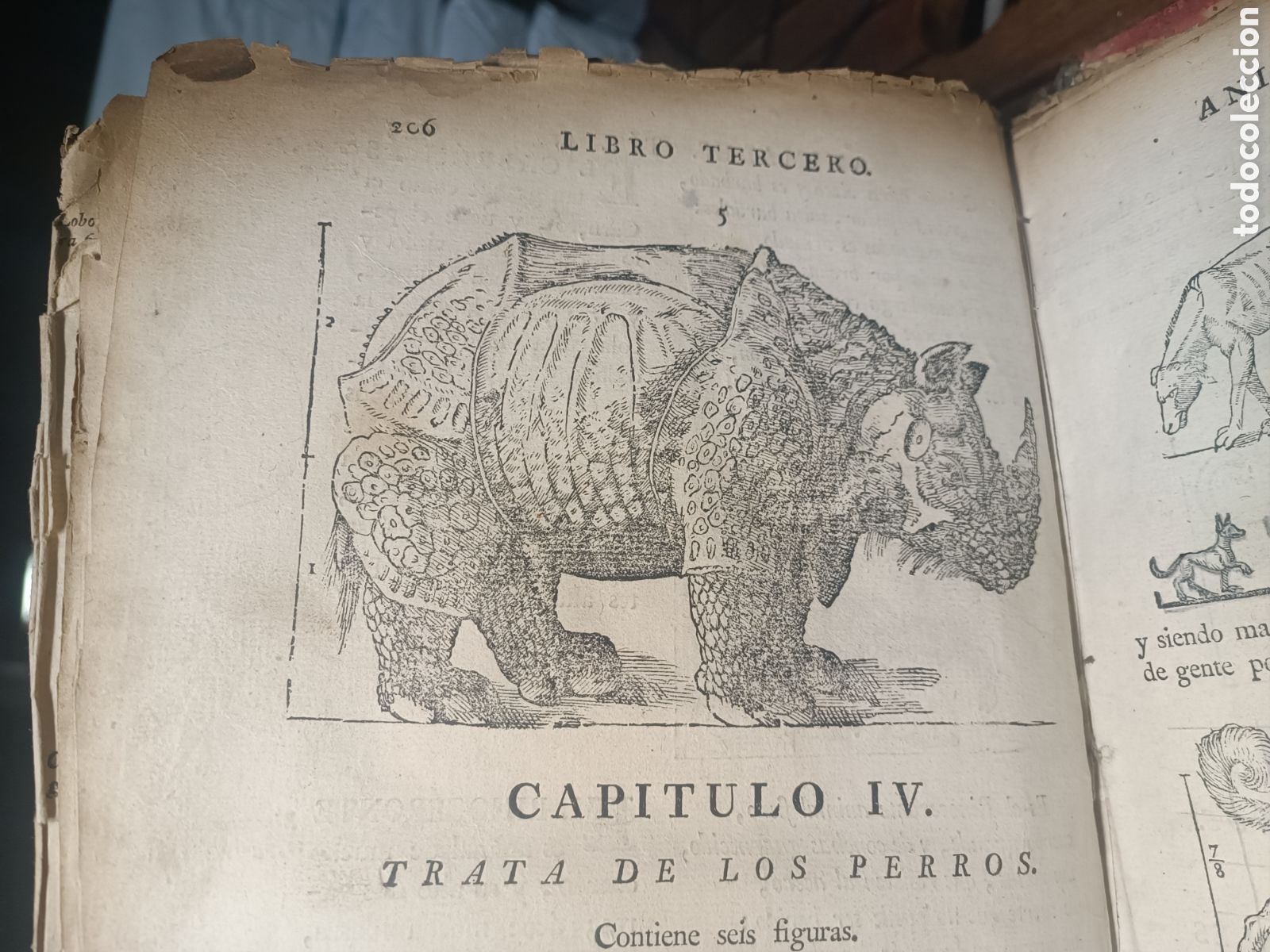 Libros antiguos: Varia commensuracion escultura y arquitectura Juan de Arphe 1795 pl&aacute;cido Barco relojes solares