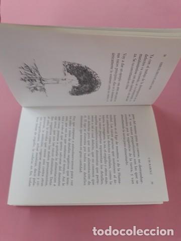 Libros antiguos: HERCOLUBUS - Foto 2