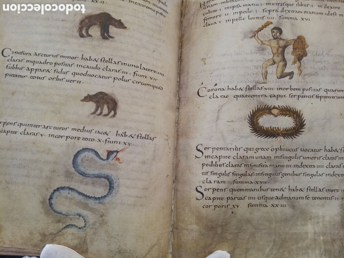 Libros antiguos: CODICE DE METZ. TRATADO DE COMPUTO Y ASTRONOMIA. facsimil. - Foto 9