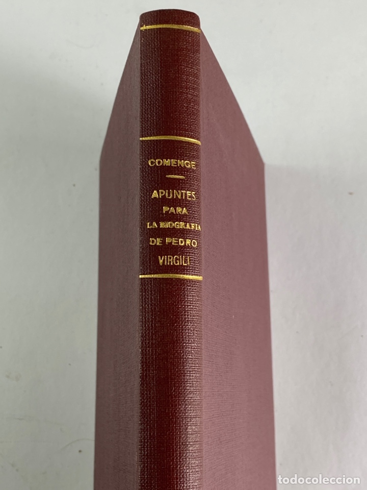 L-5583. APUNTES PARA LA BIOGRAFIA DE PEDRO VIRGILI. 1893. (Libros Antiguos, Raros y Curiosos - Biografías )