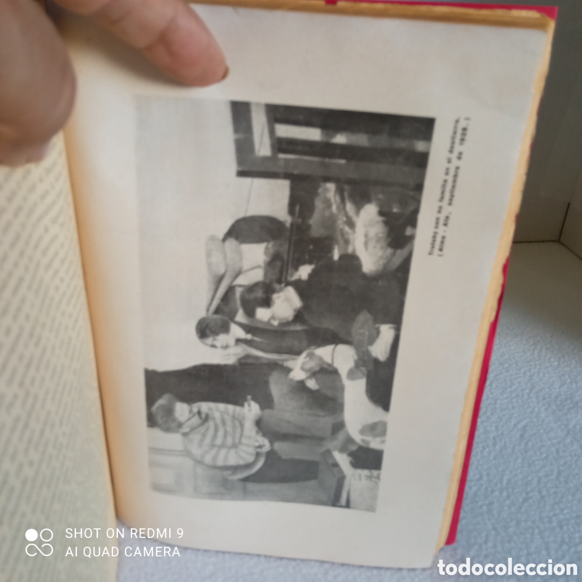 Libros antiguos: Le&oacute;n trotsky Mi Vida 1930 612 p&aacute;g. - Foto 5