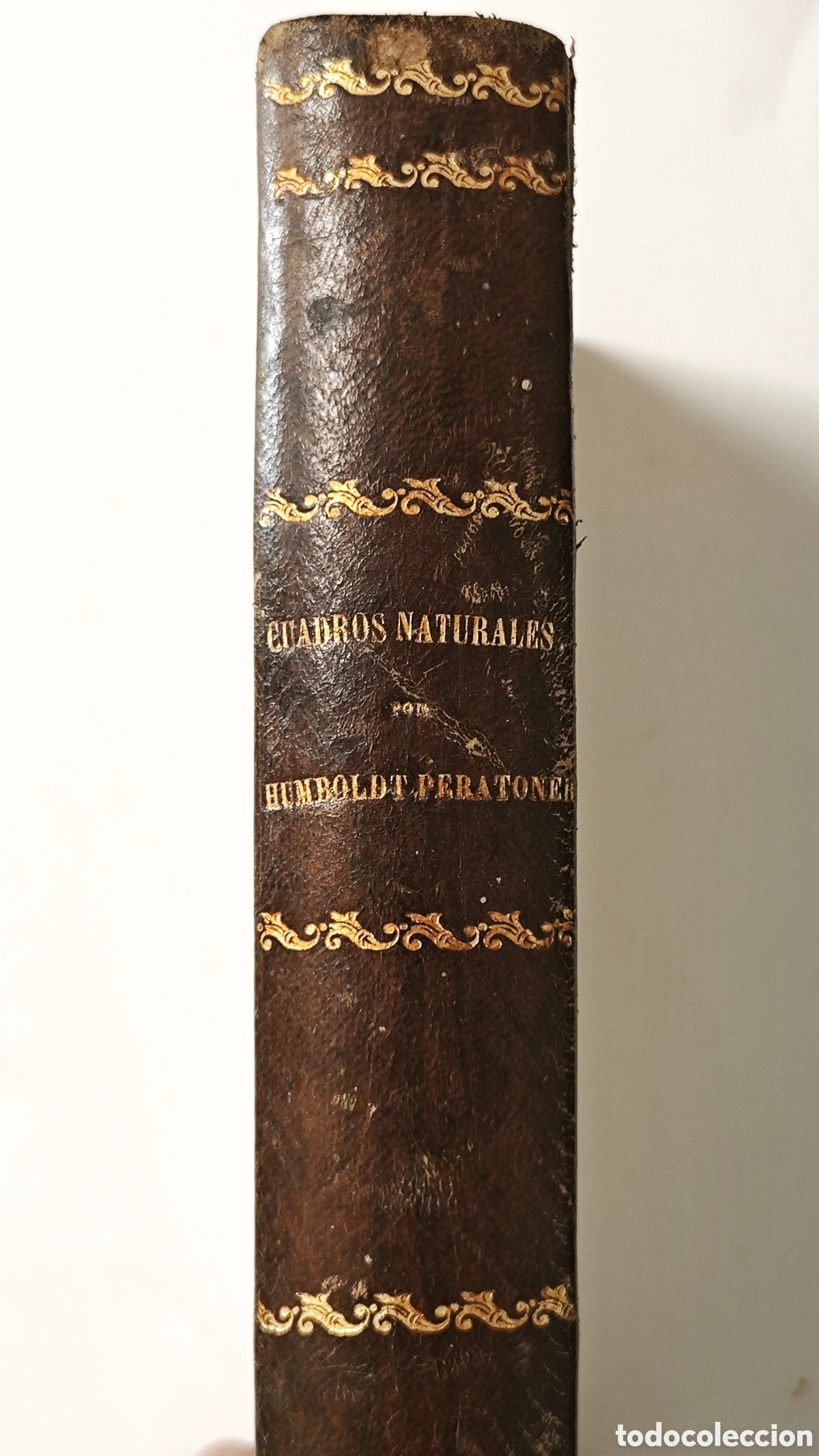 Libros antiguos: Alexander von Humboldt - Cuadros de la Naturaleza - Traducci&oacute;n Bernardo Giner 1876