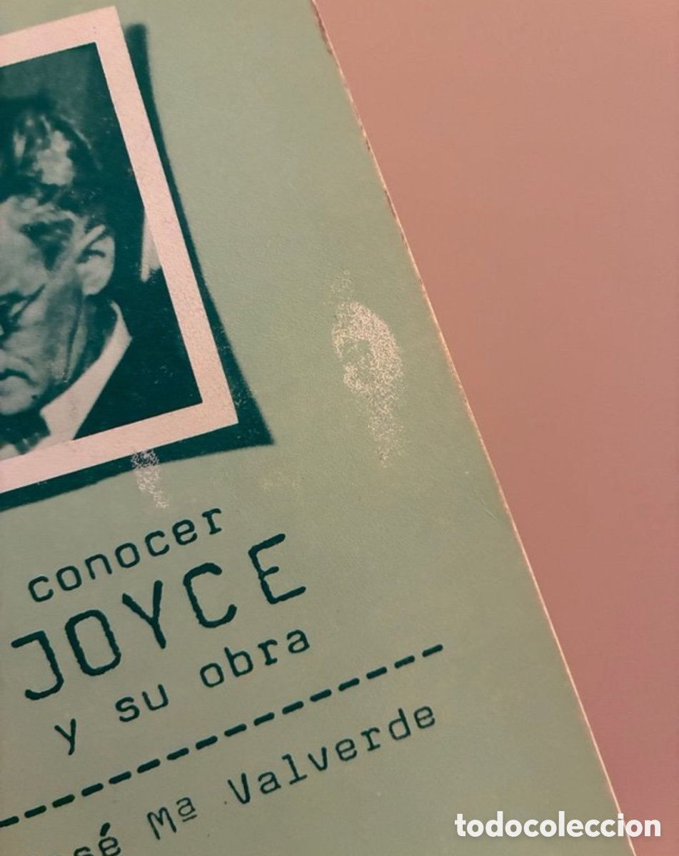 Libros antiguos: Libro Conocer Joyce y su obra - Foto 9