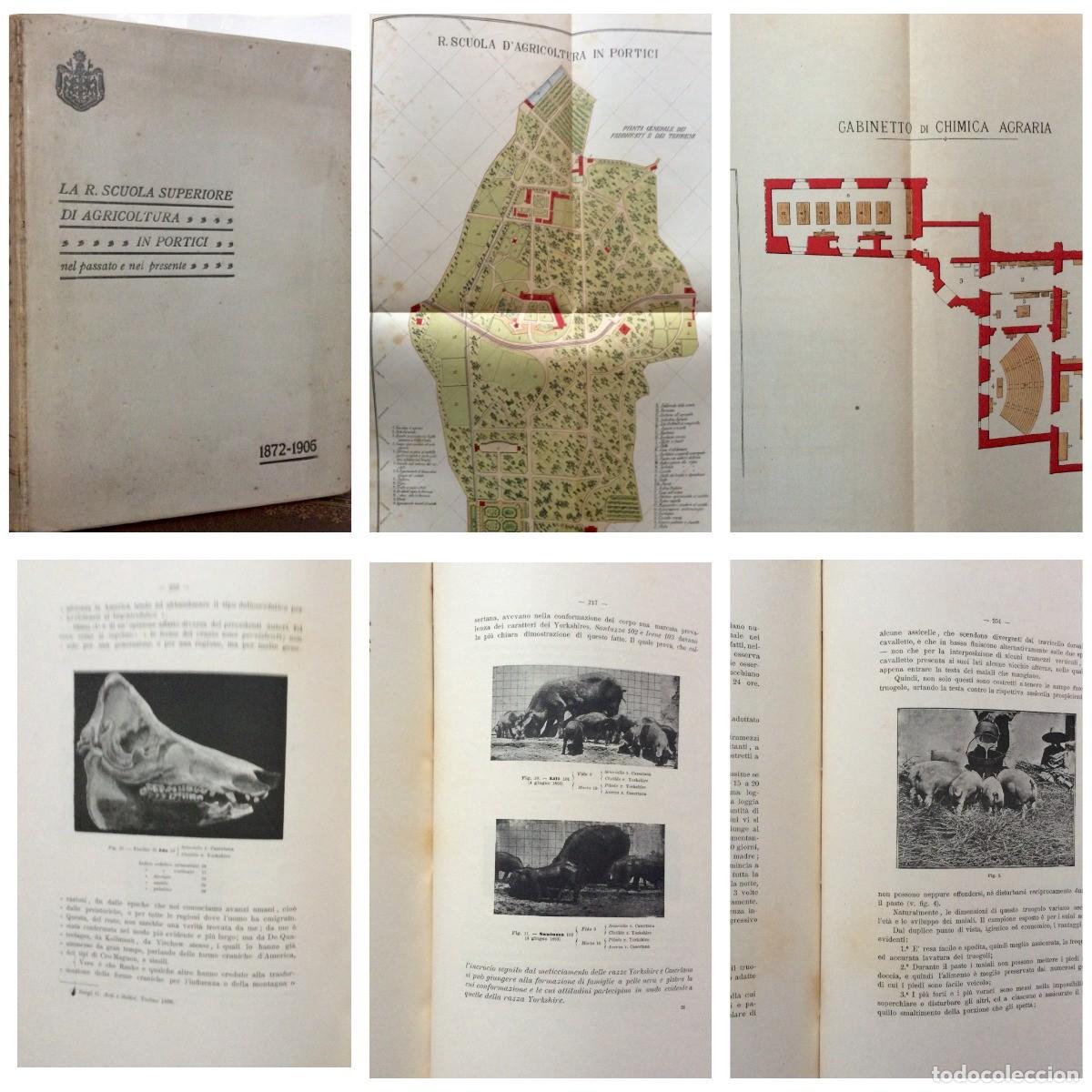 Libros antiguos: Enormes dimens&otilde;es, enorme raridade. Original. Tema. Agricultura / Biografia. Envio gr&aacute;tis