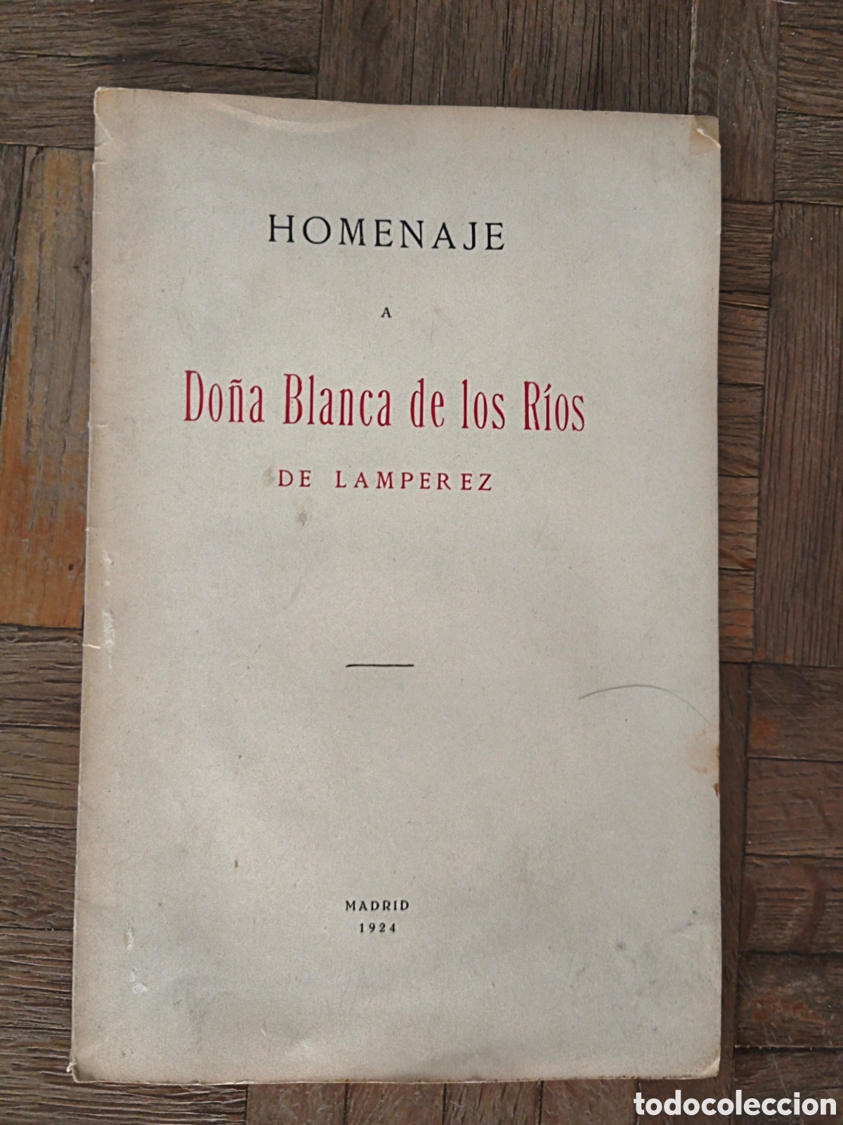 Antiquarische B&uuml;cher: Homenaje a Do&ntilde;a Blanca de los Rios.