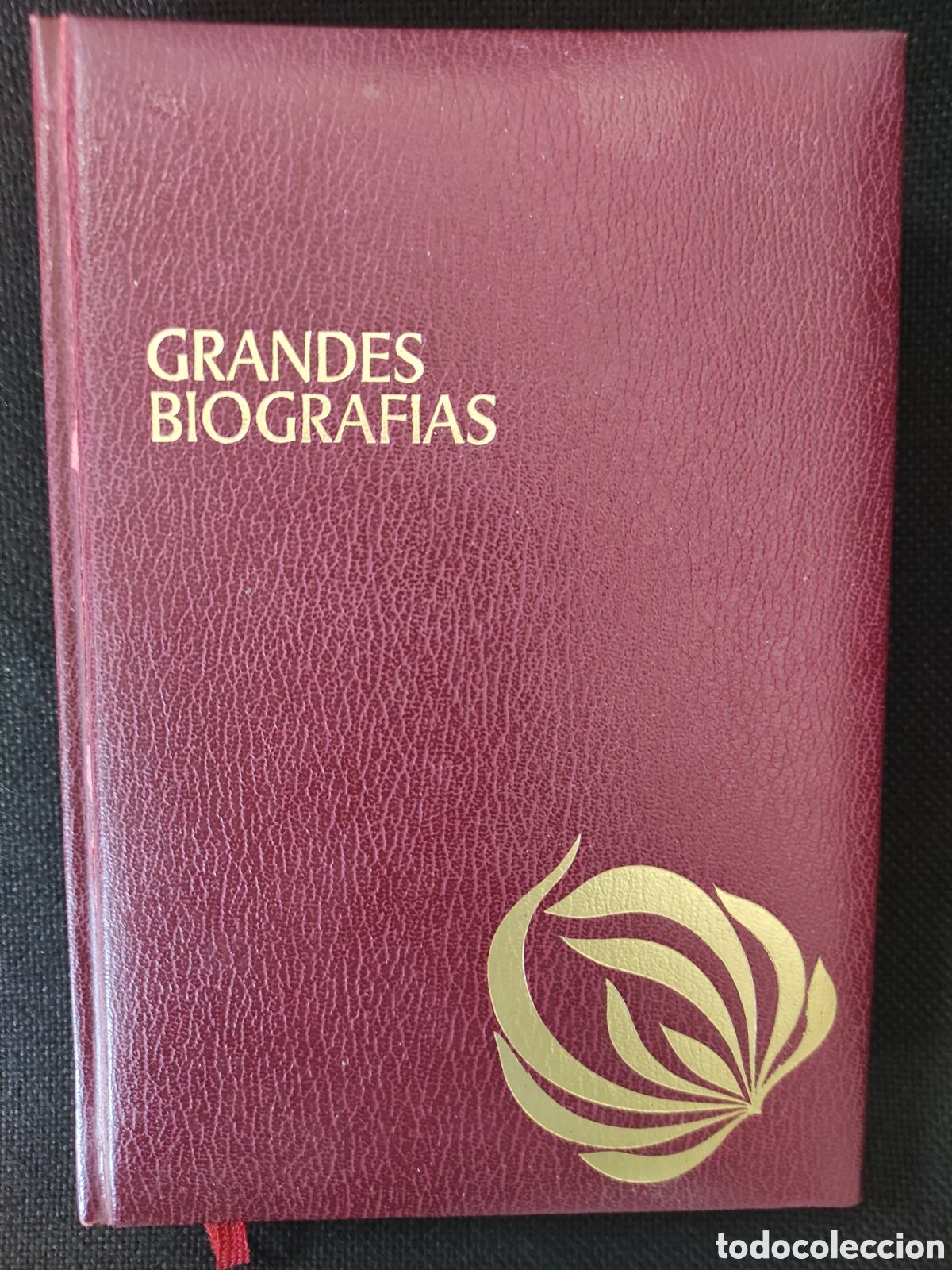 Libros antiguos: Grandes biograf&iacute;as: Churchill Carlomagno Einstein y Goya