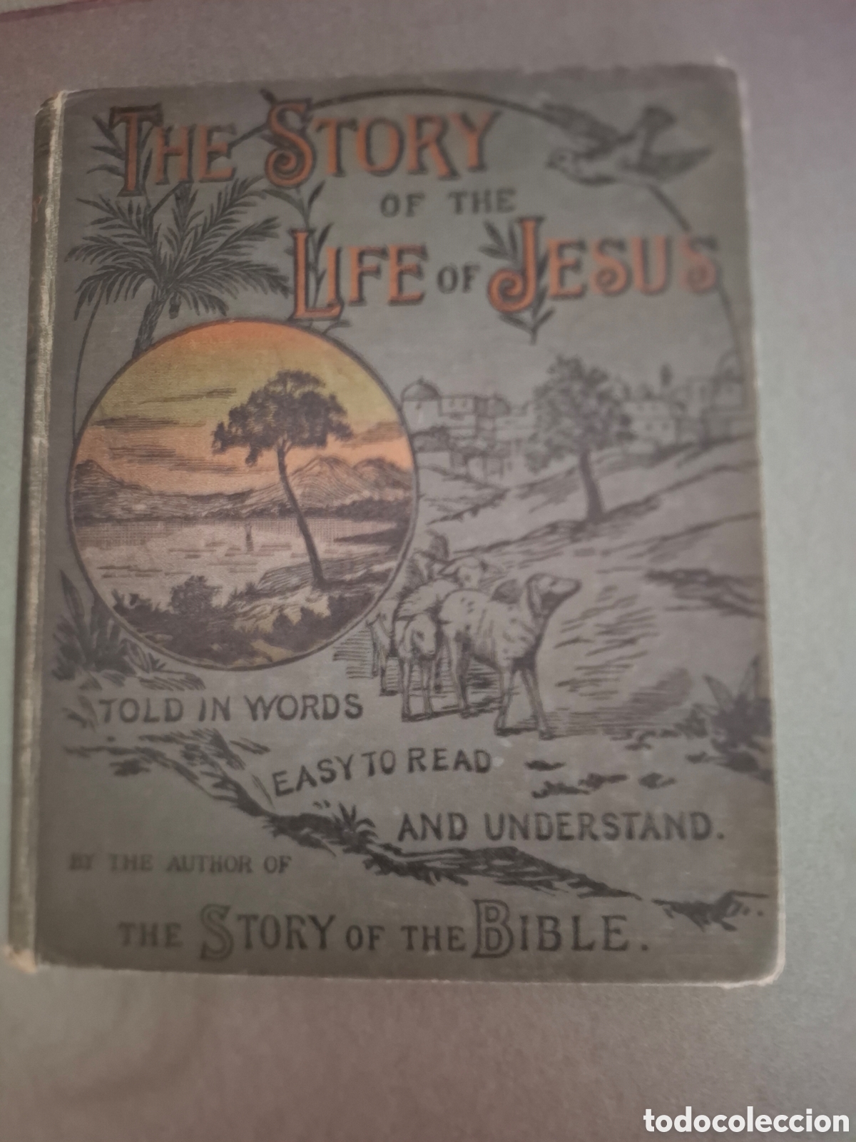 Antiquarische B&uuml;cher: The story of the life of jesus - 1894