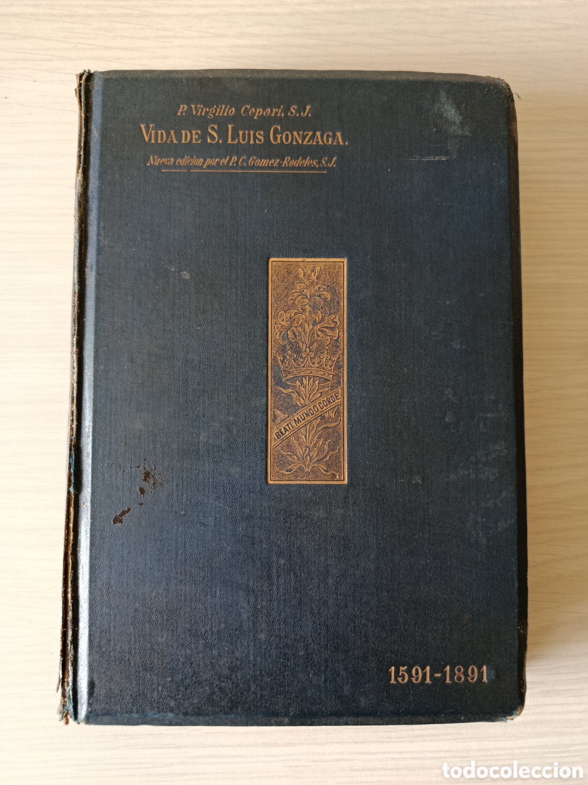 Libros antiguos: Vida de S. Luis Gonzaga Patrono de la juventud 1891