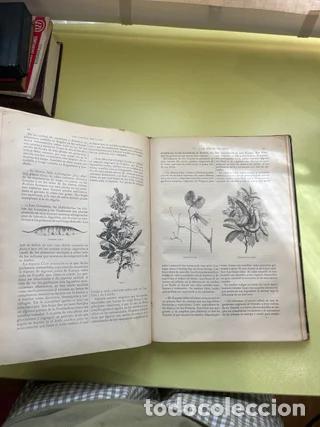 Libros antiguos: Libro Antiguo 1886: La Vida Normal y la Salud - Foto 2