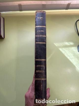 Libros antiguos: Libro Antiguo 1886: La Vida Normal y la Salud - Foto 5