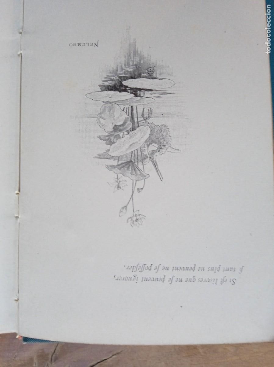 Libros antiguos: Les EDDAS Sigurd, Par&iacute;s 1893 - Foto 2