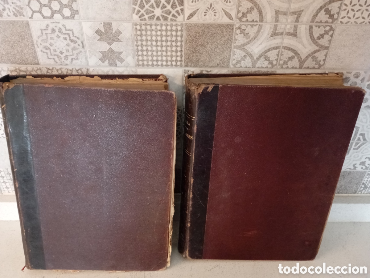 Libros antiguos: La vuelta al mundo de dos pilletes
