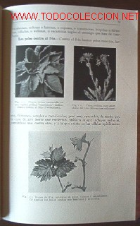 Libros antiguos:   - Foto 3
