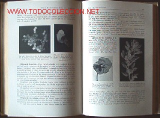 Libros antiguos:   - Foto 4