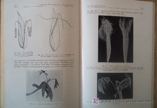 Libros antiguos: COMO VIVEN LAS PLANTAS -a&ntilde;o 1930- - Foto 6