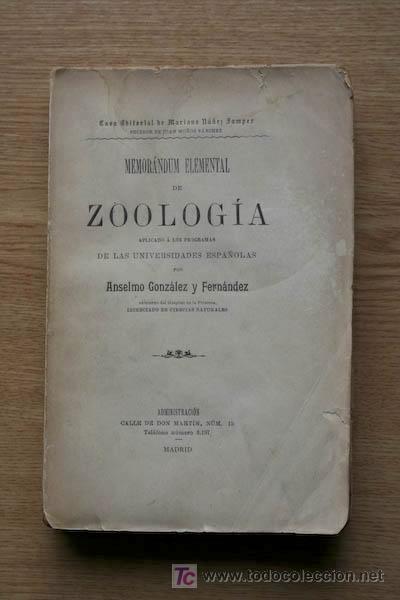 Libros antiguos: Memor&aacute;ndum elemental de Zoolog&iacute;a aplicado a los programas de las Universidades espa&ntilde;olas. - Foto 1
