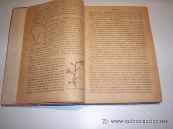 Libros antiguos: BOT&Aacute;NICA. LIBRO DE TEXTO A&Ntilde;O 1918. - Foto 4
