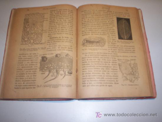 Libros antiguos: BOT&Aacute;NICA. LIBRO DE TEXTO A&Ntilde;O 1918. - Foto 3