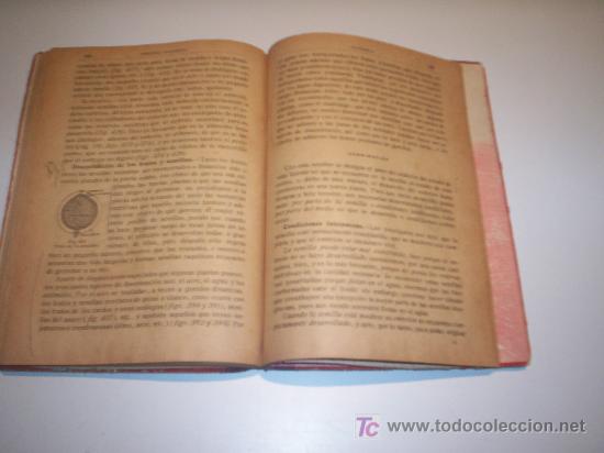 Libros antiguos: BOT&Aacute;NICA. LIBRO DE TEXTO A&Ntilde;O 1918. - Foto 2