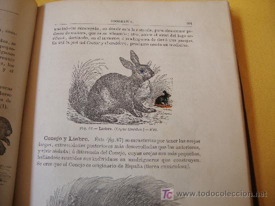 Libros antiguos: HISTORIA NATURAL A&Ntilde;O 1881 - Foto 3