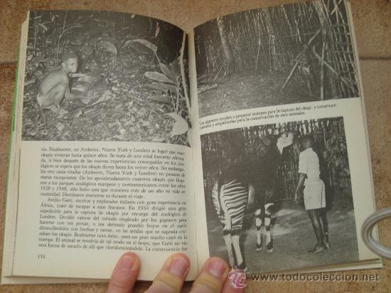 Libros antiguos: LIBRO LOS ANIMALES LEGENDARIOS DE LA JUNGLA - Foto 2
