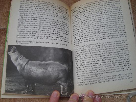 Libros antiguos: LIBRO LOS ANIMALES LEGENDARIOS DE LA JUNGLA - Foto 3