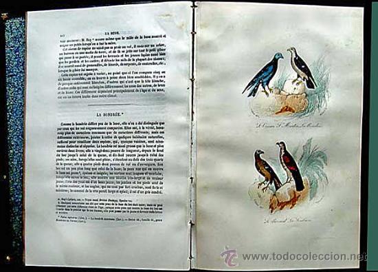 Libros antiguos: Enciclopedia completa de Buffon Historia Natural - Foto 3