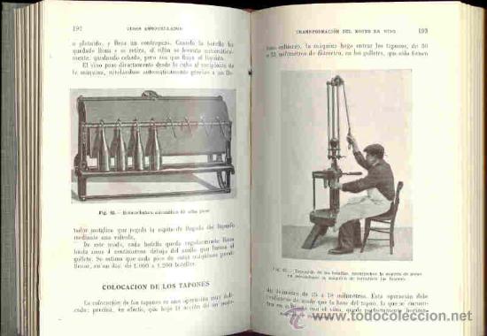 Libros antiguos: 1929: Vinos de Champa&ntilde;a y vinos espumosos - Foto 3