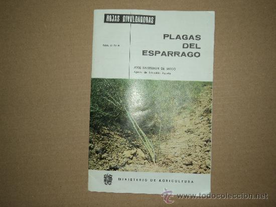 Libros antiguos: Plagas del Esparrago - Foto 1