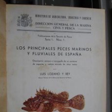 Libros antiguos: PECES MARINOS Y FLUVIALES DE ESPAÑA.LUIS LOZANO Y REY.1936.1ª EDICCION.130 PG.FOTOS BLANCO Y COLOR. Lote 33977060