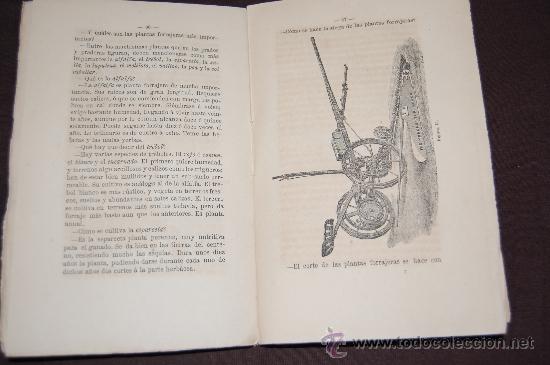 Libros antiguos: CARTILLA AGRICOLA, 1883 - Foto 3