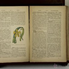 Libros antiguos: 3965- DICTIONAIRE D'HORTICULTURE. D. BOIS. EDIT. PAUL KLINCKSIECK. 1893-99. 2 TOMOS. 