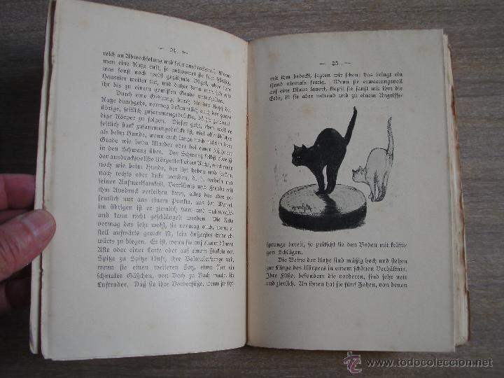 Libros antiguos: DR. PHIL WILLIAM MARSHALL - Foto 3