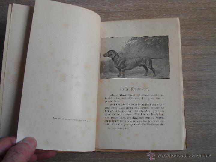 Libros antiguos: DR. PHIL WILLIAM MARSHALL - Foto 4