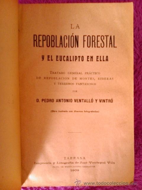 Libros antiguos: EUCALIPTO, LA REPOBLACION FORESTAL, D. PEDRO VENTALLO Y VINTRO 1908 - Foto 2
