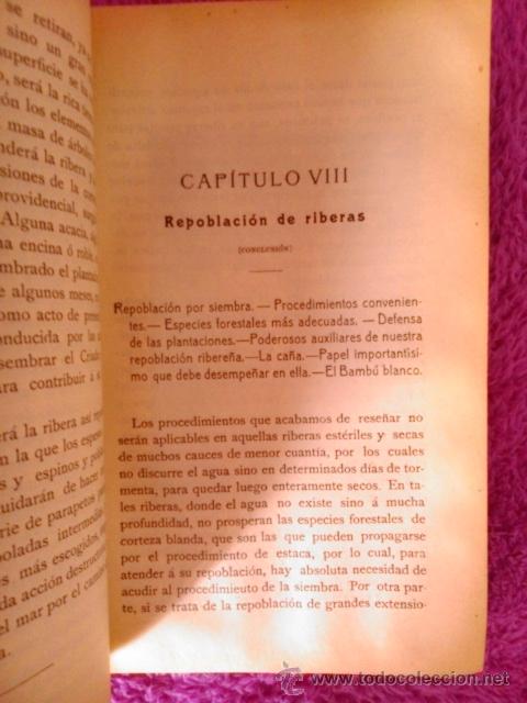 Libros antiguos: EUCALIPTO, LA REPOBLACION FORESTAL, D. PEDRO VENTALLO Y VINTRO 1908 - Foto 4