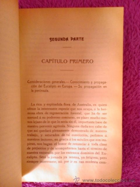 Libros antiguos: EUCALIPTO, LA REPOBLACION FORESTAL, D. PEDRO VENTALLO Y VINTRO 1908 - Foto 5