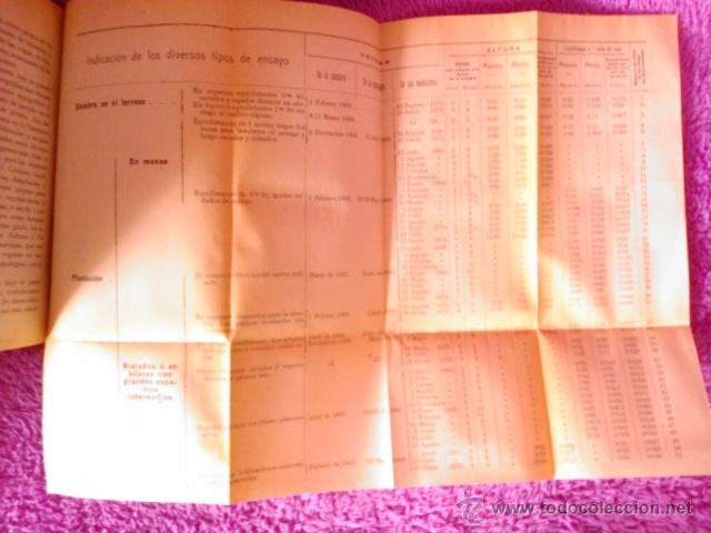 Libros antiguos: EUCALIPTO, LA REPOBLACION FORESTAL, D. PEDRO VENTALLO Y VINTRO 1908 - Foto 7