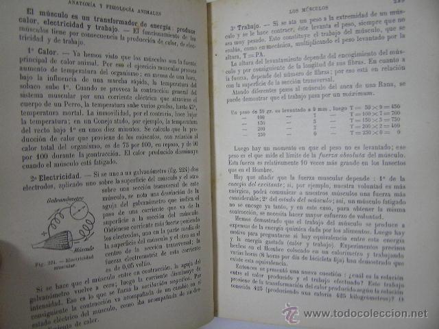 Libros antiguos: ciencias naturales, e. caustier,1917,libreria viuda de bouret,ref &ntilde;&ntilde;5 - Foto 5
