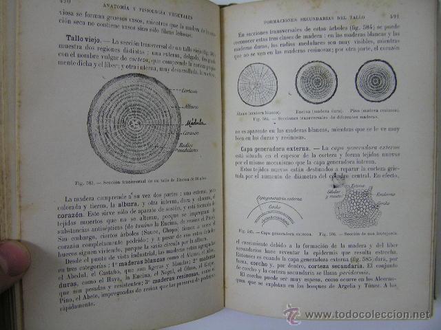 Libros antiguos: ciencias naturales, e. caustier,1917,libreria viuda de bouret,ref &ntilde;&ntilde;5 - Foto 6