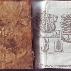 Libros antiguos: PLUCHE, ABAD M: ESPECTACULO DE LA NATURALEZA TOMO VI, PARTE TERCERA GABRIEL RAMÍREZ 1753. Lote 41324183