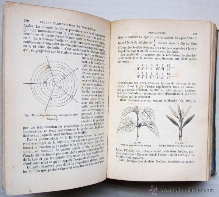 Libros antiguos: A. DAGUILLON: LE&Ccedil;ONS &Eacute;L&Eacute;MENTAIRES DE BOTANIQUE. 1904. - Foto 2