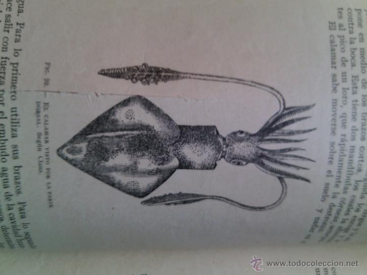 Libros antiguos: Ciencias Fisiconaturales, 1934 - Foto 3