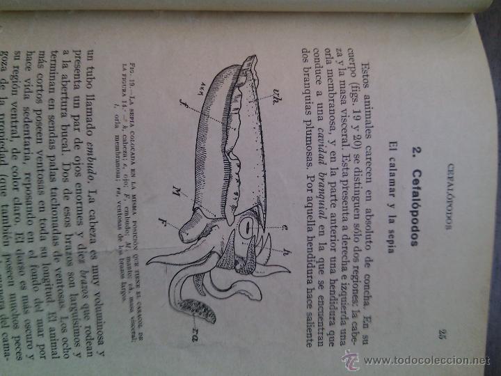 Libros antiguos: Ciencias Fisiconaturales, 1934 - Foto 4
