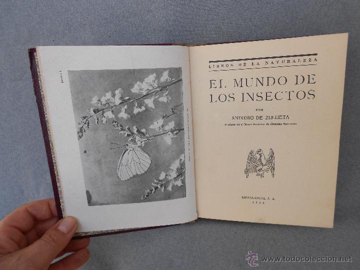 Libros antiguos: EL MUNDO DE LOS INSECTOS - Foto 1