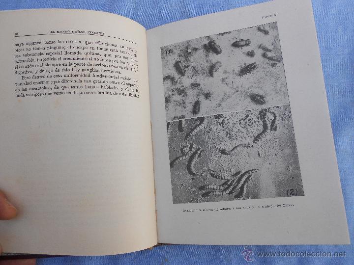 Libros antiguos: EL MUNDO DE LOS INSECTOS - Foto 2