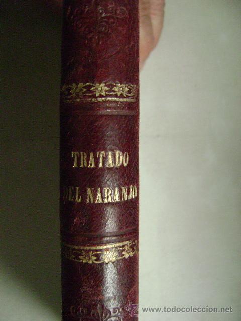Libros antiguos: TRATADO COMPLETO DEL NARANJO,1893. L-661 - Foto 3