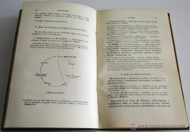 Libros antiguos: LEO ERRERA: SOMMAIRE DU COURS D&Eacute;L&Eacute;MENTS DE BOTANIQUE - 1904. - Foto 2