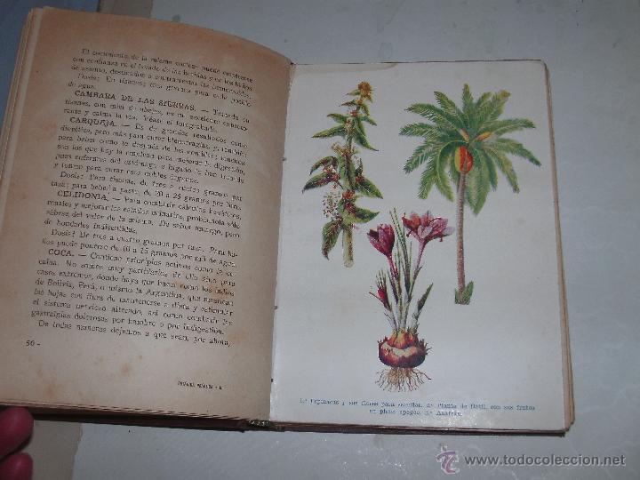 Libros antiguos: BOTANICA PRACTICA - Foto 2
